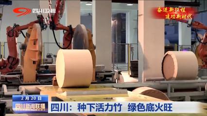 種下活力竹 綠色底火旺